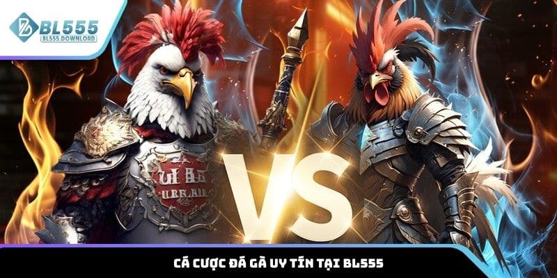 Cá cược đá gà uy tín tại BL555
