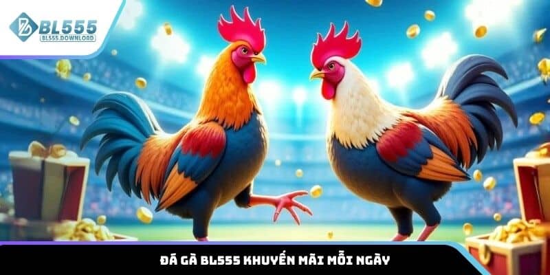 Đá gà BL555 khuyến mãi mỗi ngày